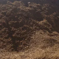 فروش کود گوسفندی