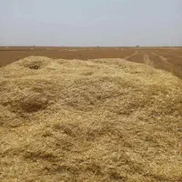 ۲۳ انبار کاه گندم