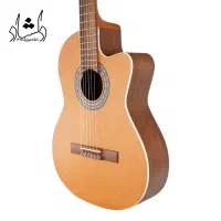 گیتار کلاسیک پارسی مدل Parsi M5 کاتوی|گیتار، بیس، امپلیفایر|شیراز, شهرک مفتح|دیوار