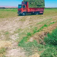 فروش کاه نرم گندم..‌پرس کاه .پرس یونجه انبار|عمده‌فروشی|مشهد, شهرک صنعتی توس|دیوار