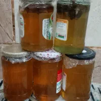 عسل تضمینی طبیعی بشرط تست و اصل|خوردنی و آشامیدنی|ایرانشهر, |دیوار