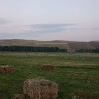 علف‌فروشی