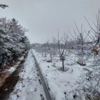 اجاره باغ ویلا نزدیک شهر