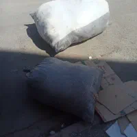 پشم گوسفندی