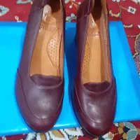 کفش چرم|کیف، کفش، کمربند|اهواز, یوسفی|دیوار