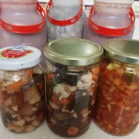 لواشک و ترشی و دلمه|خوردنی و آشامیدنی|بجنورد, |دیوار