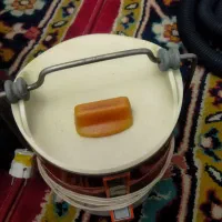 آبمیوه گیری های اصل