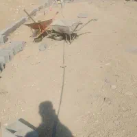 اوستا کار و بنا صفر تا صد اکیپ کاری