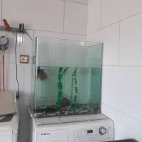 آکواریوم معاوضه با پرنده