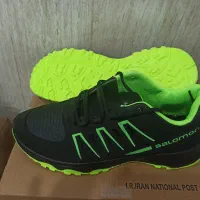 کفش سالامون