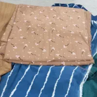 لباس مانتو|لباس|کردکوی, |دیوار