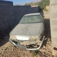 دوو اسپرو اوراقی ، اسقاطی