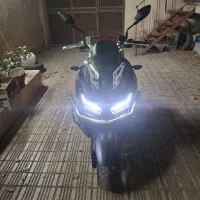 ADV 175 هاسکی