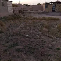 زمین|فروش زمین و ملک کلنگی|راین, |دیوار