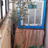 اپارتمان گلبهار نوساز/ سندعرصه/پارکینگ اختصاصی|فروش آپارتمان|مشهد, شاهد (شهرک غرب)|دیوار