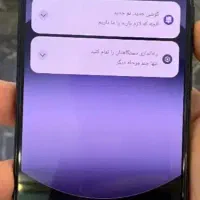 شیایومی
