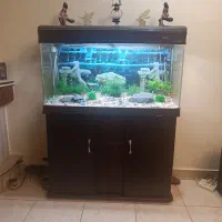 آکواریوم شیشه‌خم‌ ماهیران سری‌خارجی باهمه لوازم