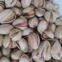 پسته خام فندقی وبادامی خندون امسالی