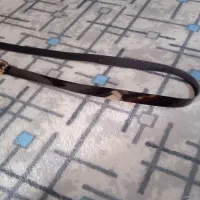 کمربندنوسالم