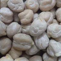 نخود سفید تازه درجه یک