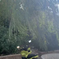 باغ ویلاروستای گردشگری بکاول (معاوضه باماشین دارم)|فروش خانه و ویلا|تربتحیدریه, بالا ولایت|دیوار