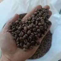 قهوه ویتنام مدیوم، شکلاتی و دارک