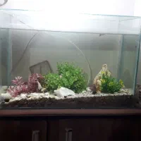 اکواریوم نو