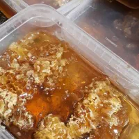 عسل کوهستان وحشی با کندو