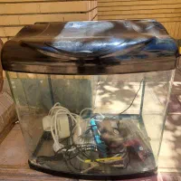 اکواریوم شرکتی شبشه خم نشکن