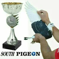 حلقه پای پرنده محمدی کبوتر مسافتی