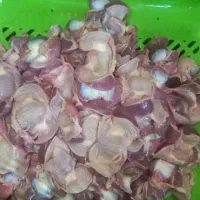 فروش سنگدان مرع گوشتی