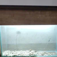 آکواریوم|ماهی|شیراز, پودنک|دیوار