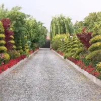 باغبانی وهرس|خدمات باغبانی و درختکاری|چهارباغ, |دیوار