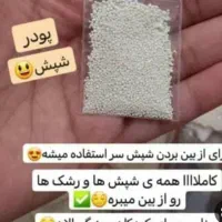 پودرشپش