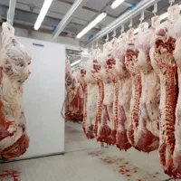 اجاره-سردخانه-زیر-صفر