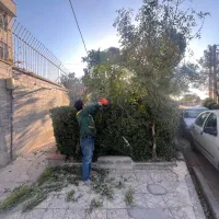 انجام کلیه امور باغبانی در کرج|خدمات باغبانی و درختکاری|کرج, فاز ۴ مهرشهر|دیوار
