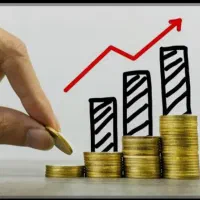 سرمایه گذار