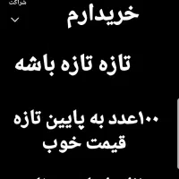 تخم مرغ و بوقلمون حراج