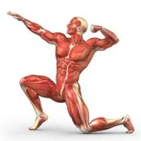 ماساژ در محل