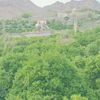 ۵ قصب زمین بلوار هلیل