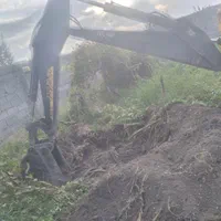 سلام خریدار انواع مختلف درخت|خدمات باغبانی و درختکاری|ارومیه, |دیوار