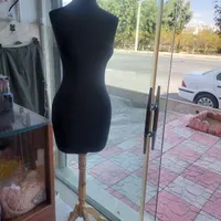 دو عدد مانکن،