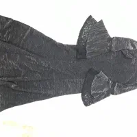 مجلسی وبیرونی در‌حدنو|لباس|صدرا-فارس, فاز ۱|دیوار