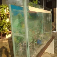 اکواریوم شیشه ای
