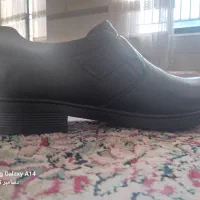 کفش مجلسی مردانه|کیف، کفش، کمربند|زرند, |دیوار