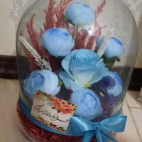 گلدان داری طلق شیشه ای دو تیکه