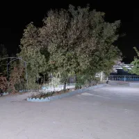 سرایدار  باغ.      زوج جوان  نیازمندیم