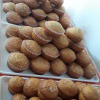 انواع کیک وشیرینی باکیفیت۳۸۰