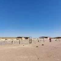 فروش مزرعه پروش شترمرغ مولد