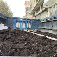 کود پهین گاوی